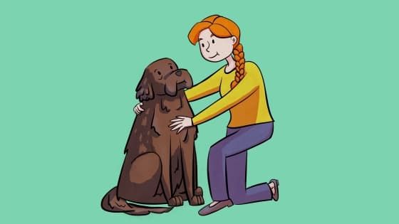 Senior Pets: Why We Value Them & What You Need To Know
