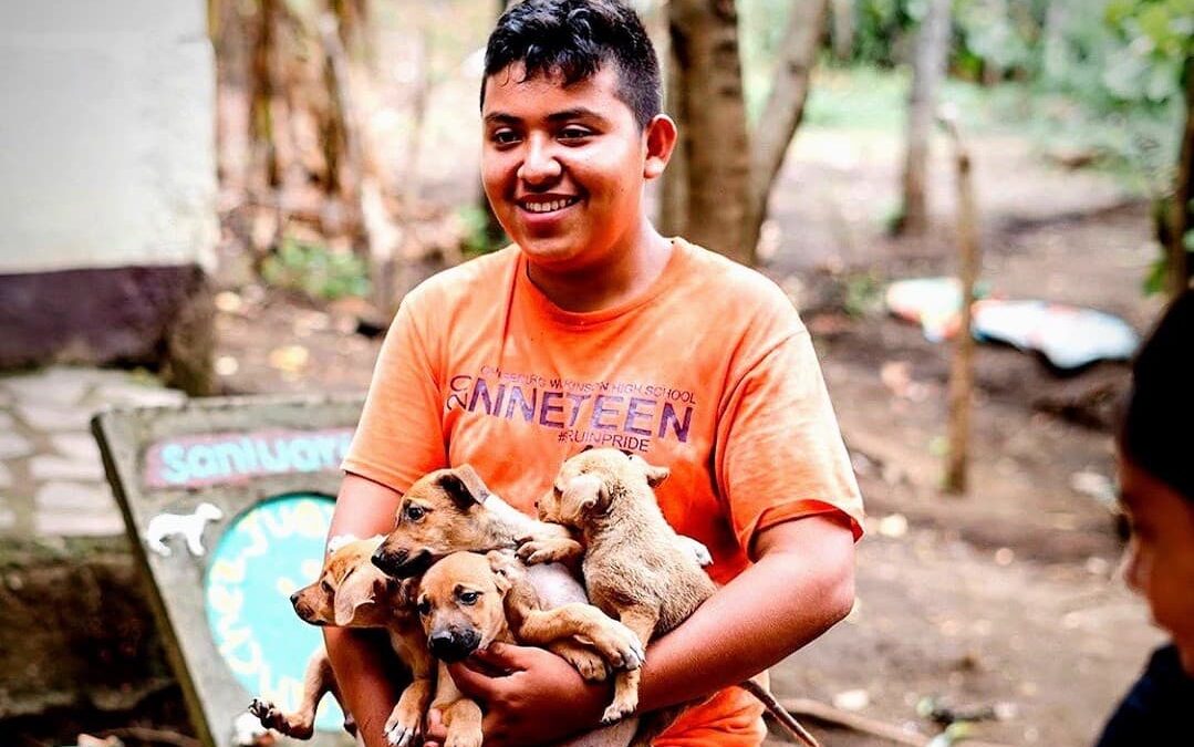 Why Spay & Neutering Matters and What You Can Do