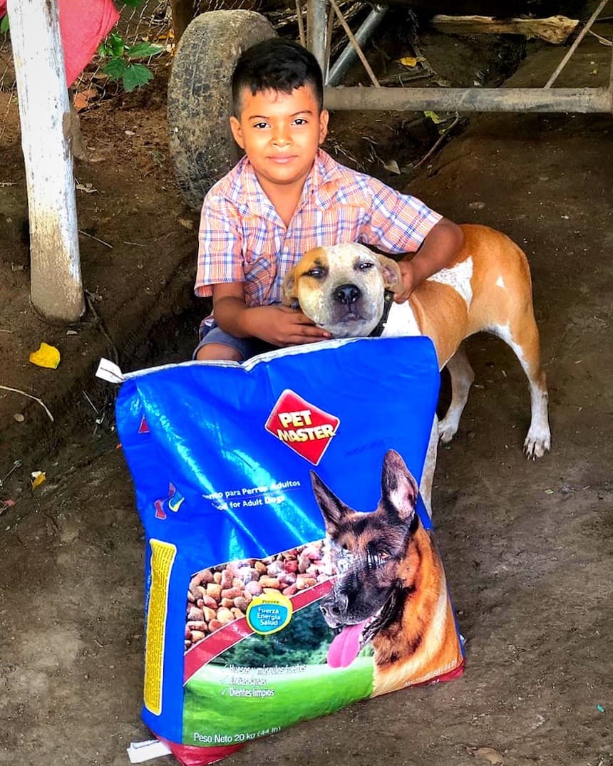 global-strays-food-pantry1 (1)
