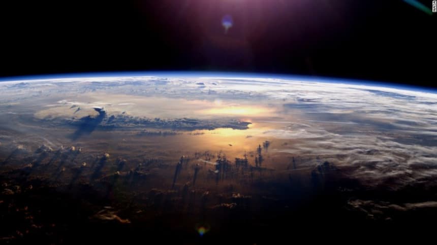 global-strays-happy-earth-day
