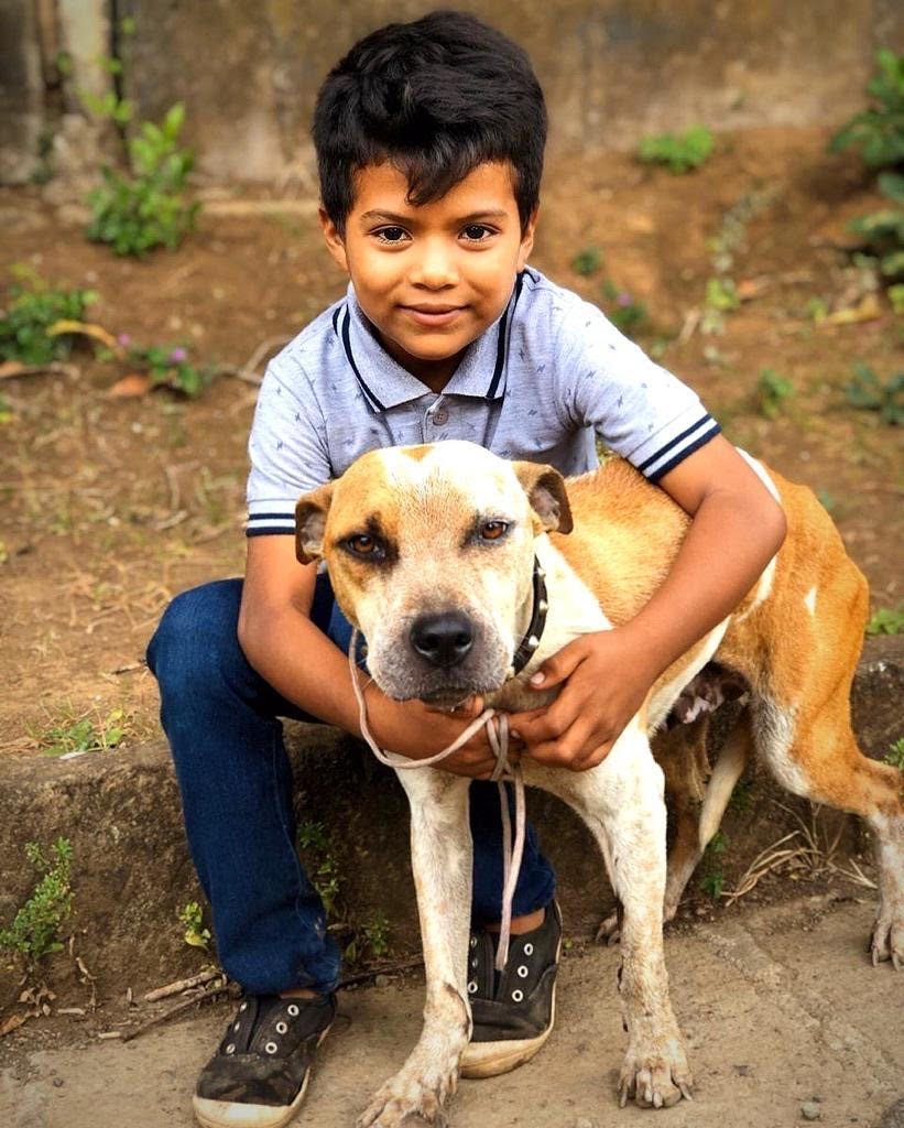 global-strays-spay-neuter-pet-before