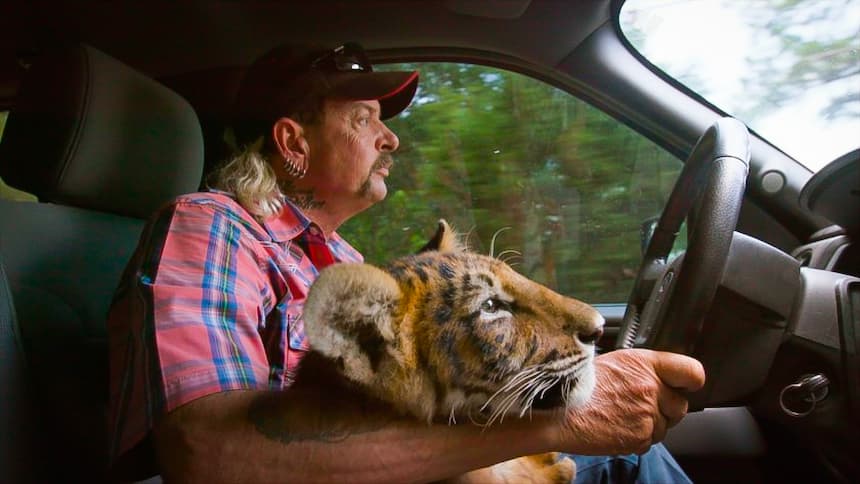 global-strays-the-problem-with-tiger-king