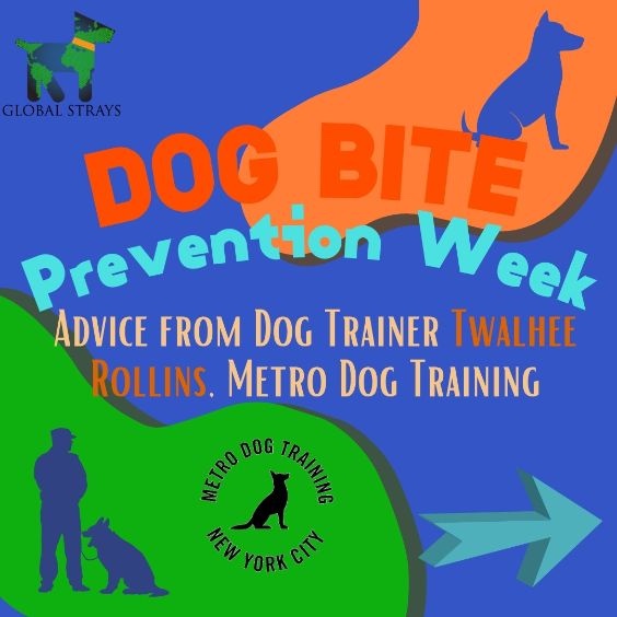 global-strays-dog-bite-prevention-week