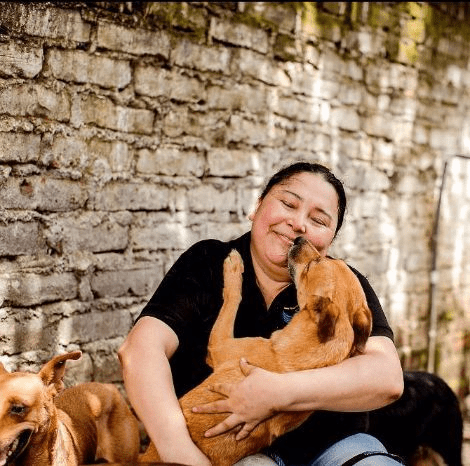 global-strays-dogs-la-joya