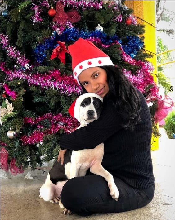 global-strays-holiday-newsletter