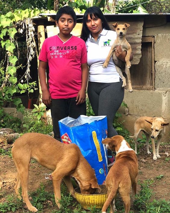 global-strays-meet-mabia