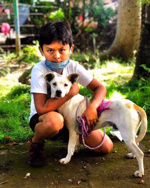 global-strays-newsletter-13