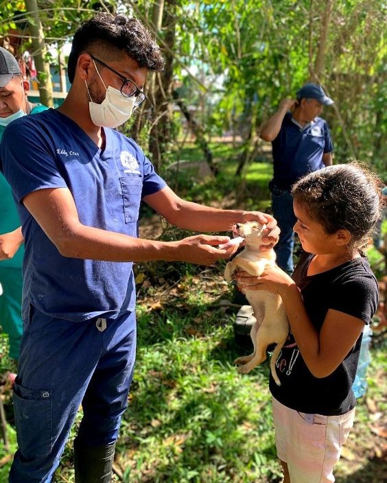 global-strays-newsletter-19