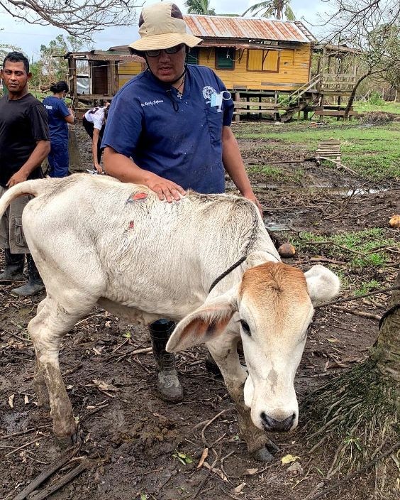 global-strays-newsletter-21