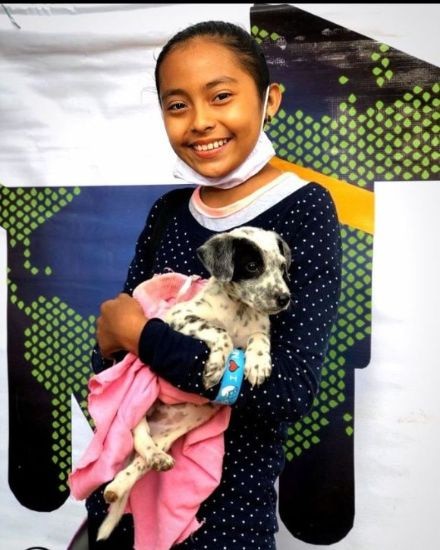 global-strays-newsletter-22