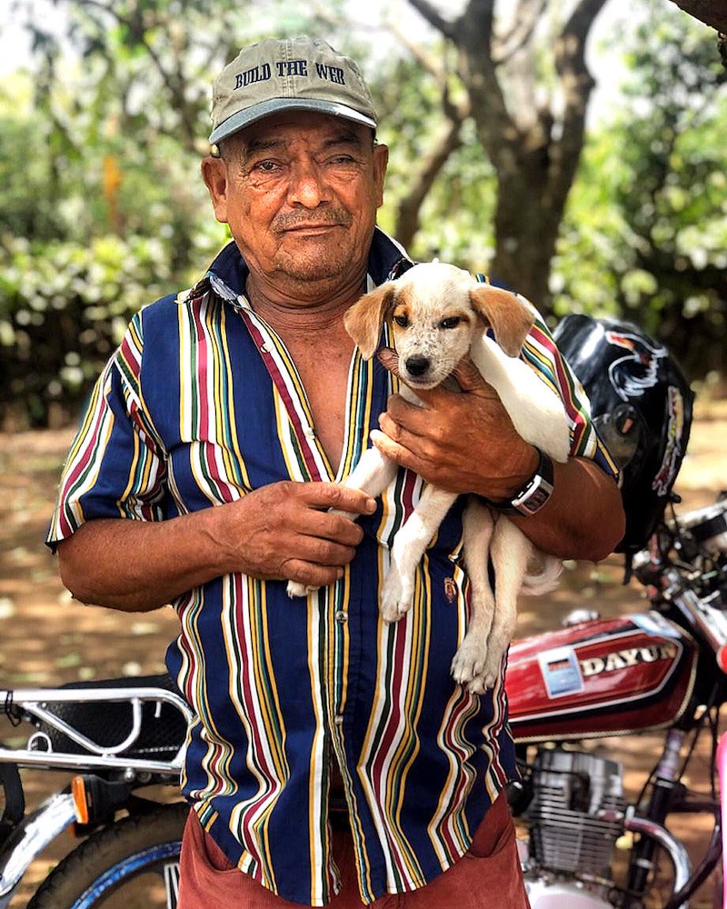 global-strays-newsletter-25