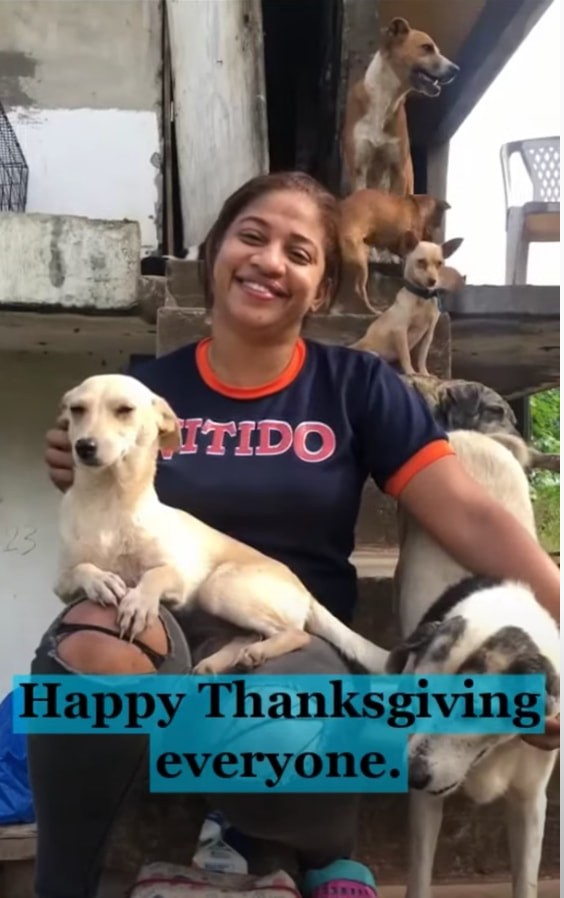 global-strays-newsletter-4