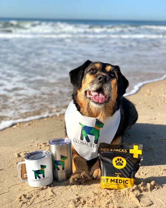 global-strays-pet-first-aid-awareness-week