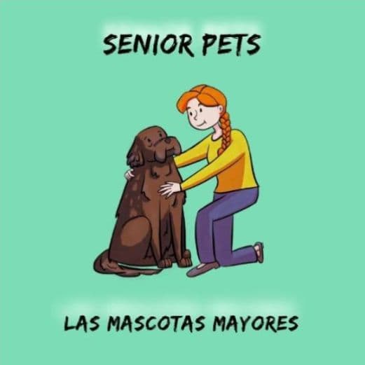 global-strays-senior-pets